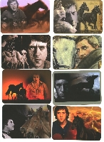 ������:  (566Kb)